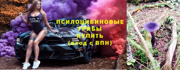 стафф Богородск