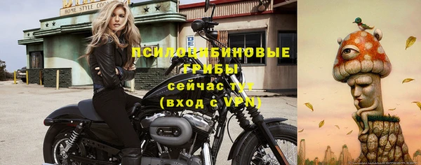 дживик Ростов
