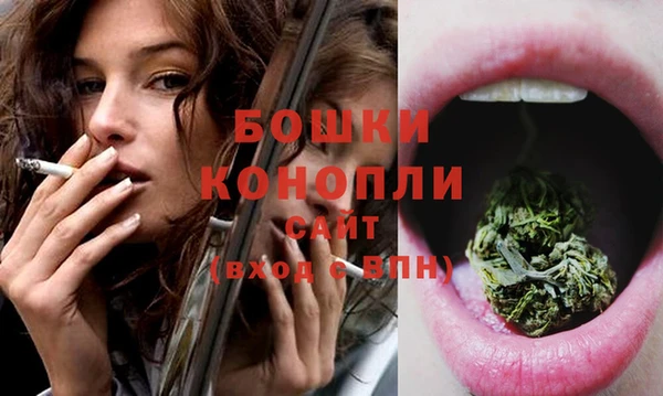 стафф Богородск