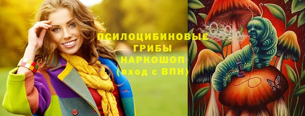 марки lsd Богданович