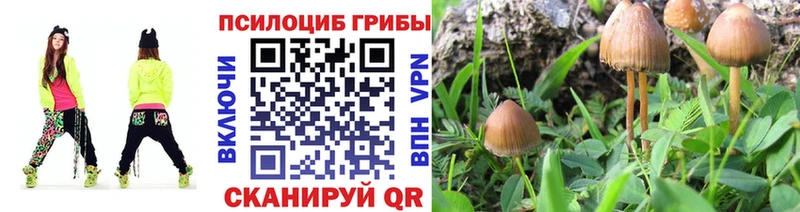 shop как зайти  Берёзовский  Галлюциногенные грибы Magic Shrooms 